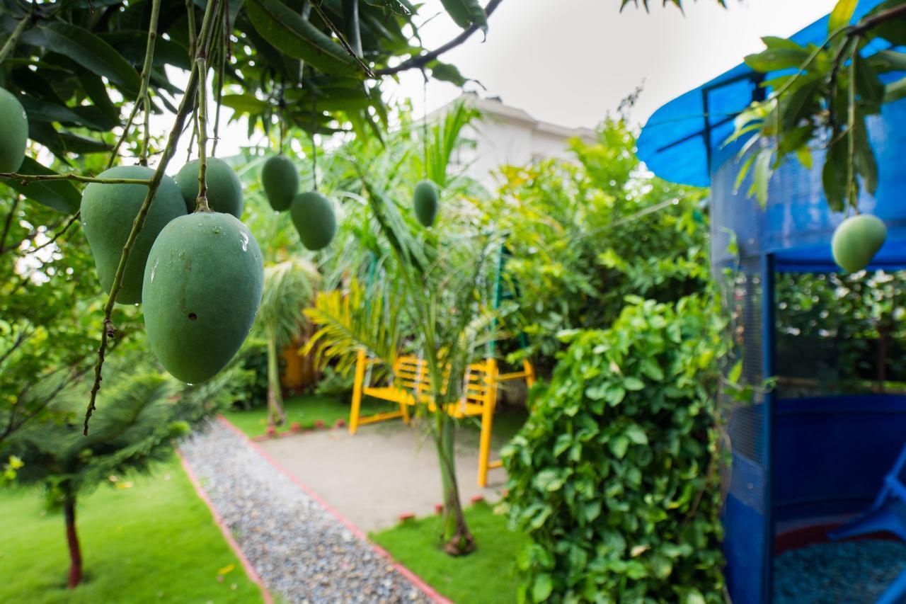 Galaxy Guest House Siddharthanagar Екстер'єр фото